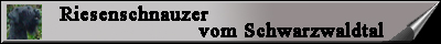 Banner Schwarzwaldtal