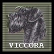 banner-viccora